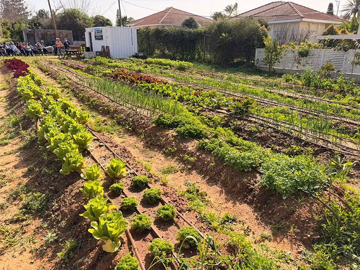בין השדות צומחת קהילה: הגינה הקהילתית לגיל השלישי יצאה לדרך