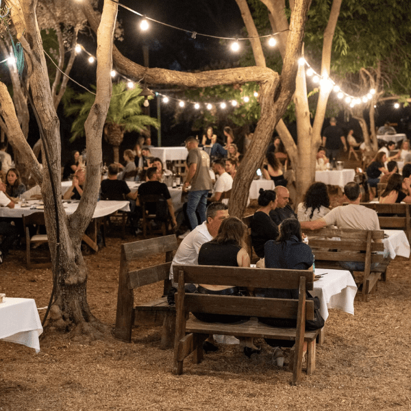 יום שלישי בערב יינא בארסוף קדם 15.9