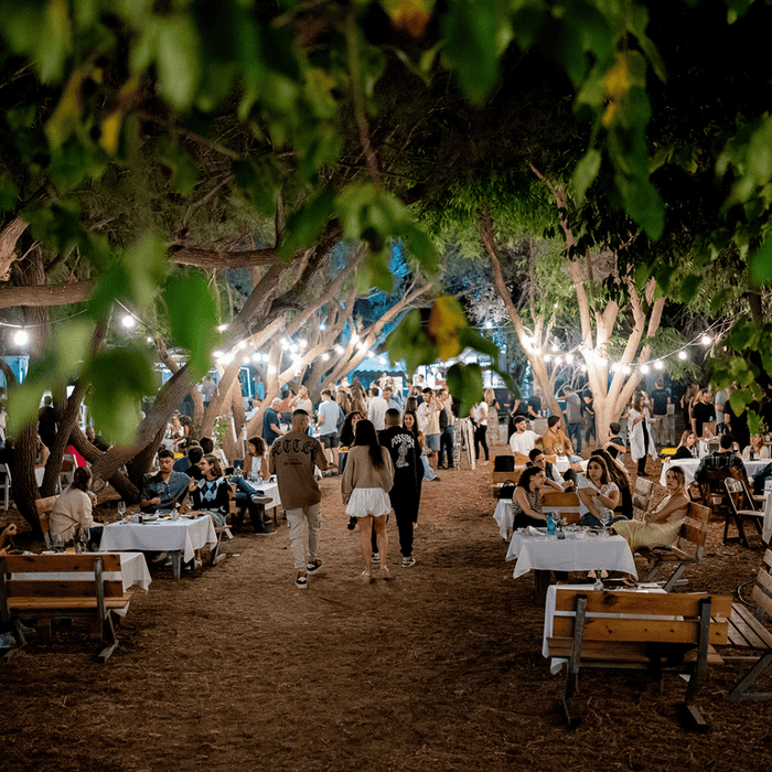 יום שלישי ערב בארסוף קדם17.11