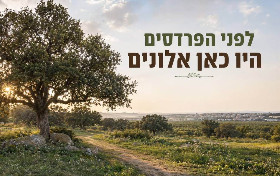 לפני הפרדסים היו כאן אלונים